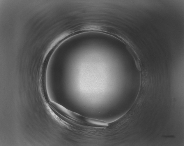 X0000085831139200703161317