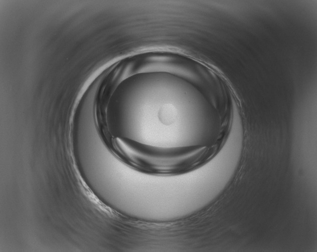 X0000085831140200703161317