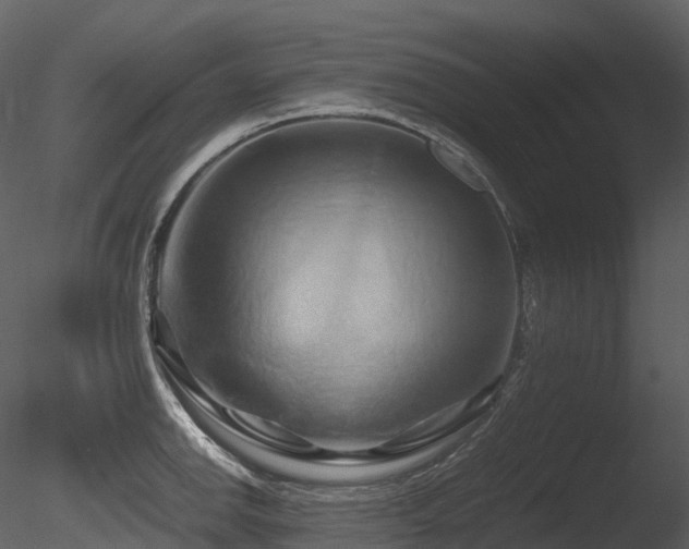 X0000085831142200703161317