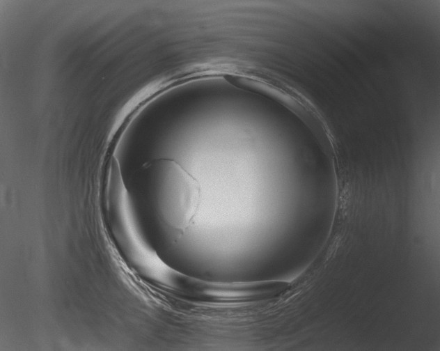 X0000085831146200703161317