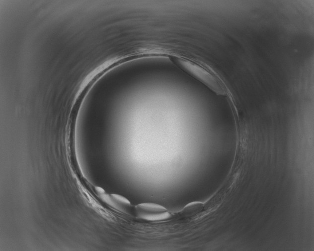 X0000085831149200703161317