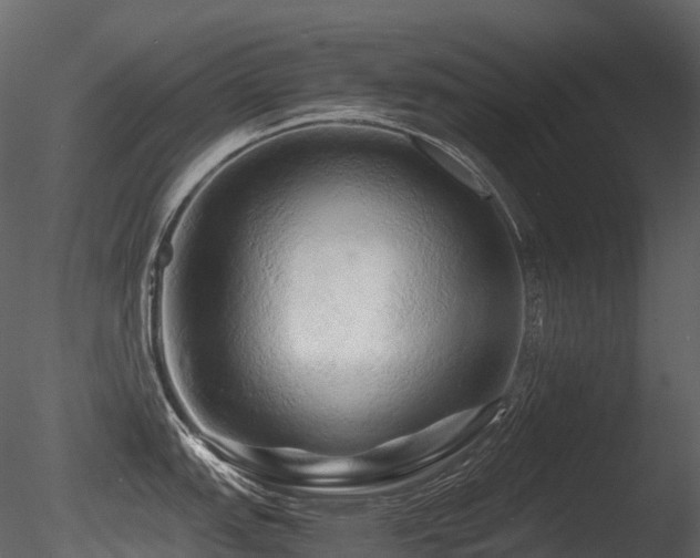 X0000085831151200703161317
