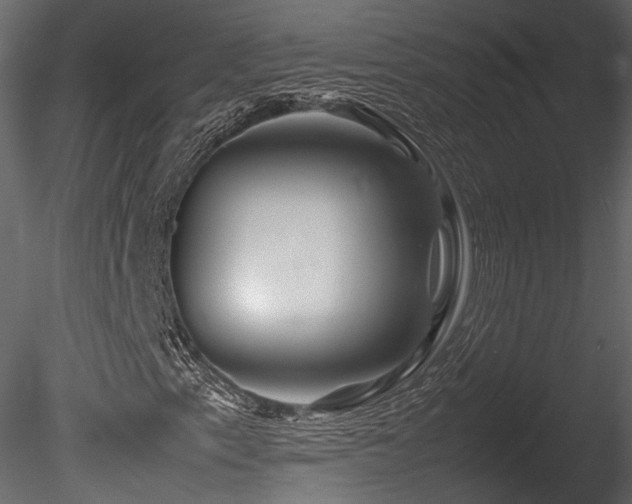X0000085831153200703161316