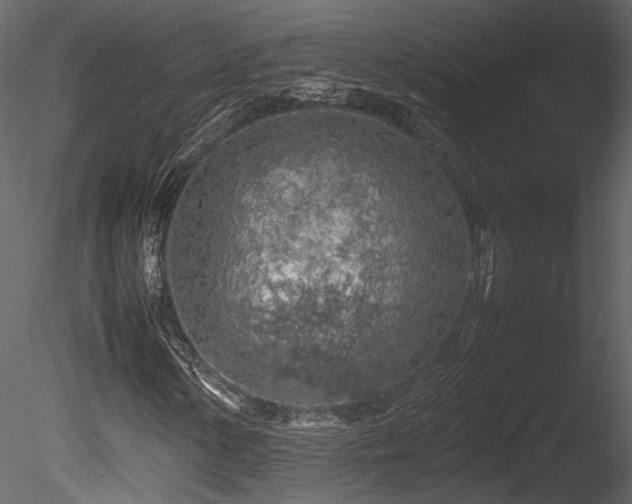 X0000085831154200703161316