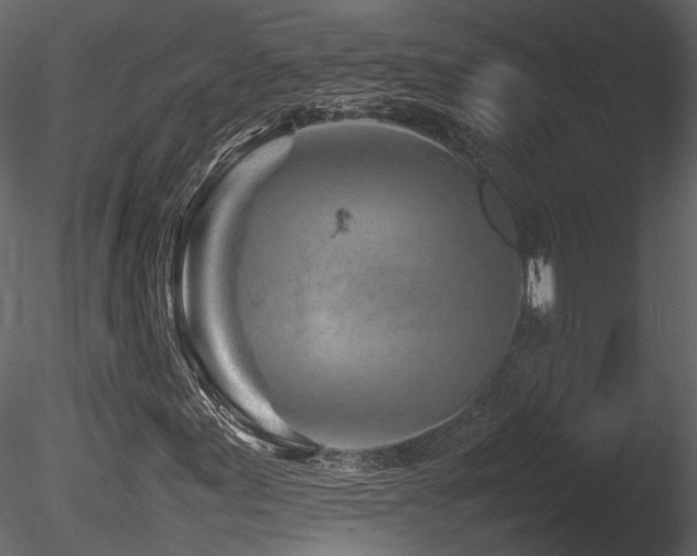 X0000085831155200703161316