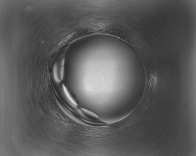 X0000085831156200703161316