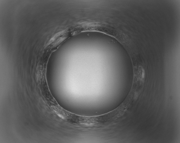 X0000085831157200703161316