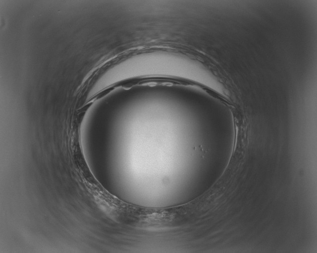 X0000085831160200703161316