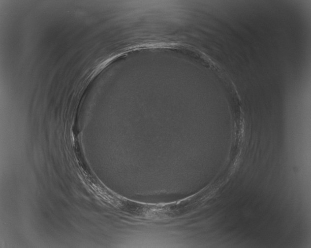 X0000085831161200703161316