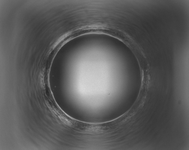 X0000085831162200703161316