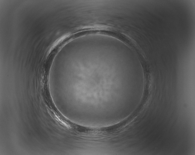 X0000085831163200703161316