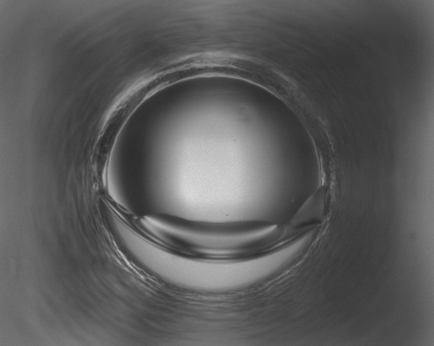 X0000085831164200703161316