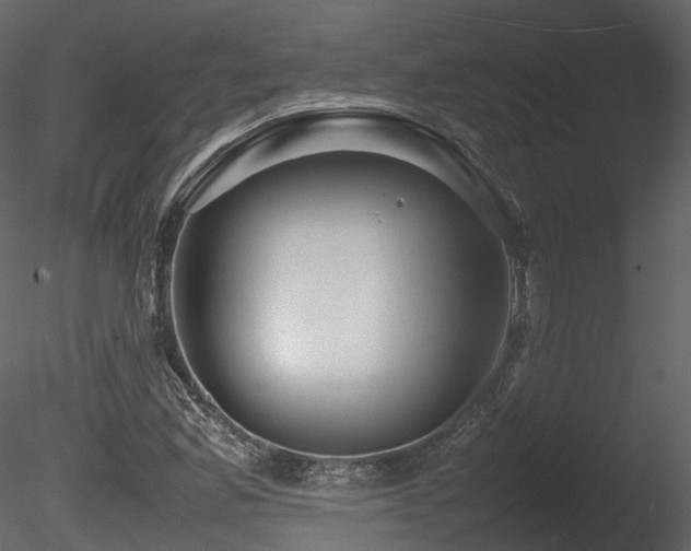 X0000085831165200703161316