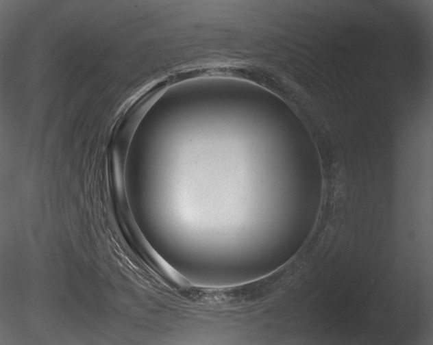 X0000085831169200703161316
