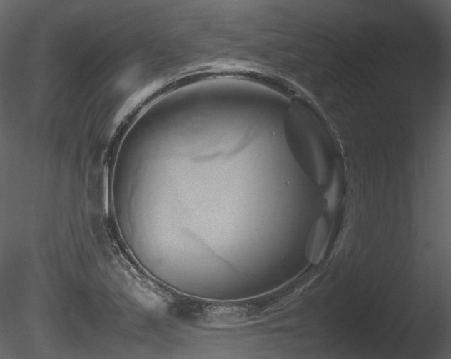 X0000085831171200703161316