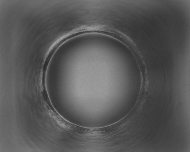 X0000085831174200703161316