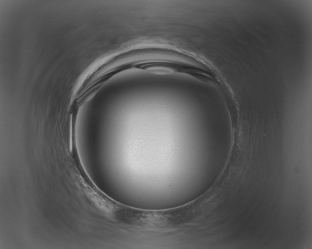 X0000085831175200703161316