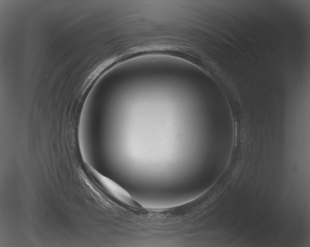 X0000085831177200703161316