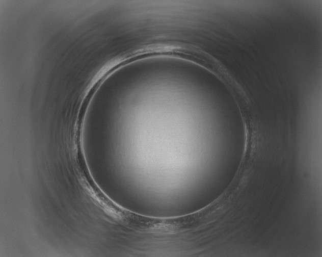X0000085831178200703161316