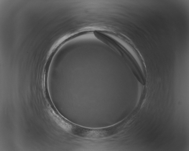 X0000085831179200703161316
