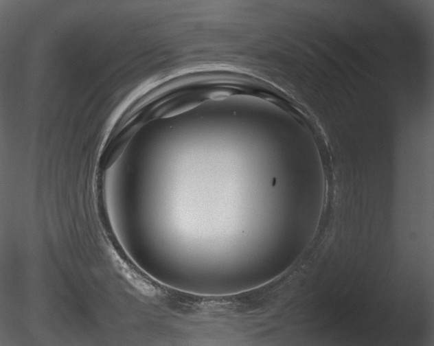 X0000085831181200703161316