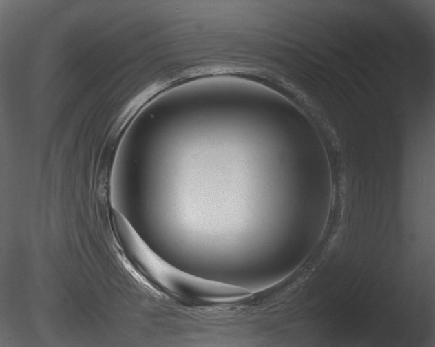 X0000085831185200703161316
