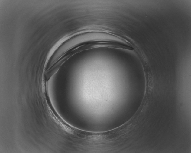 X0000085831188200703161316