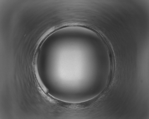 X0000085831189200703161315