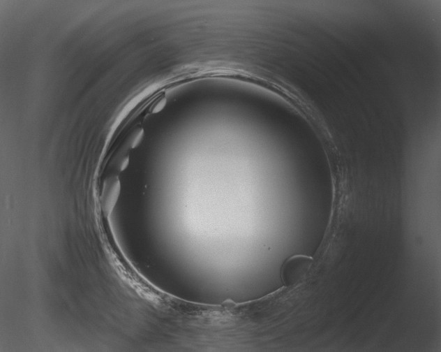 X0000085831190200703161315