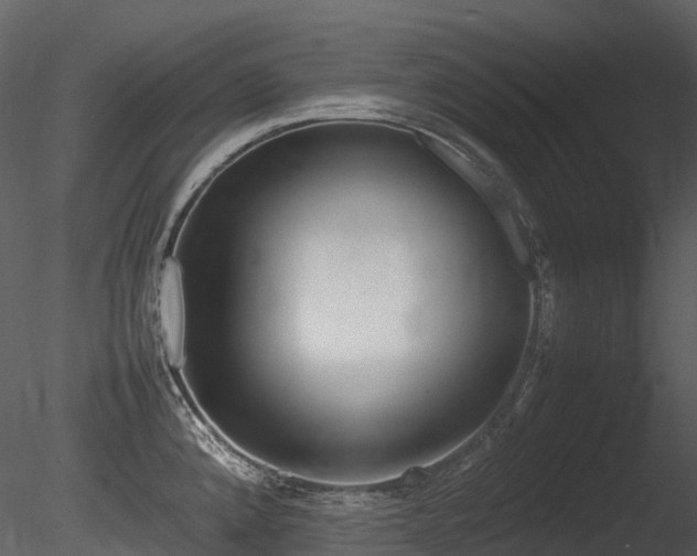 X0000085831192200703161315