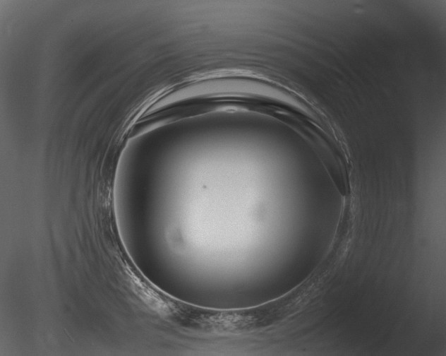 X0000085831193200703161315