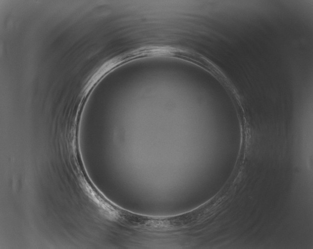 X0000085831194200703161315