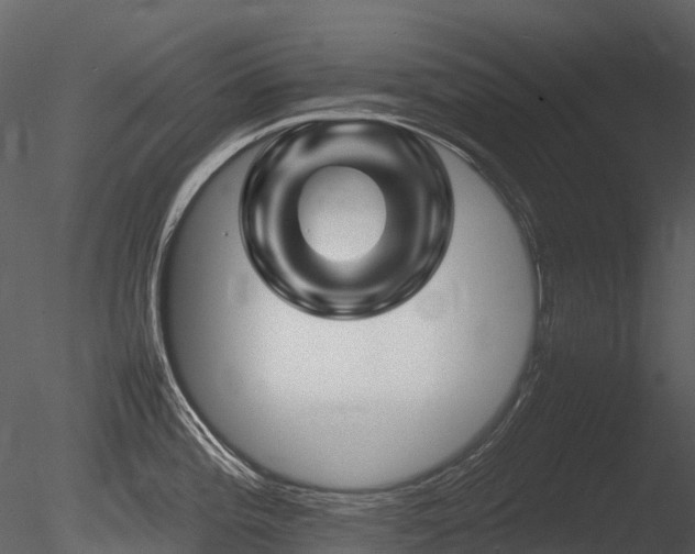 X0000085831196200703161315
