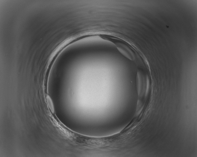 X0000085831197200703161315
