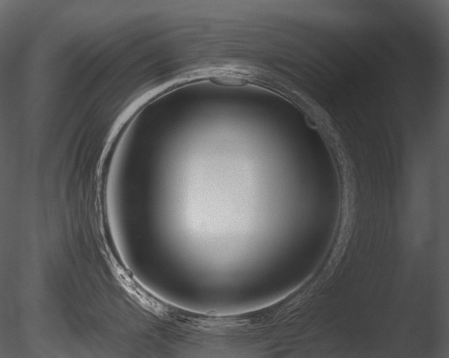 X0000085831200200703161315
