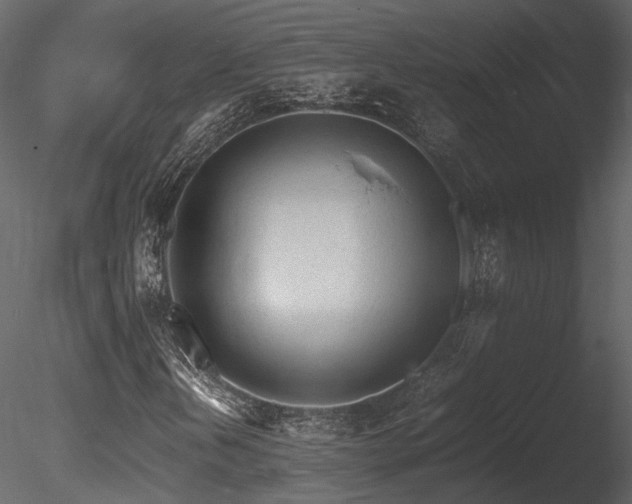 X0000085831202200703161314