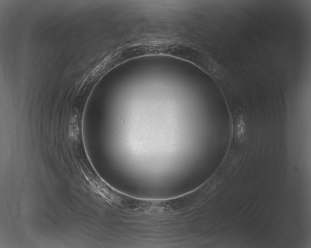 X0000085831204200703161315