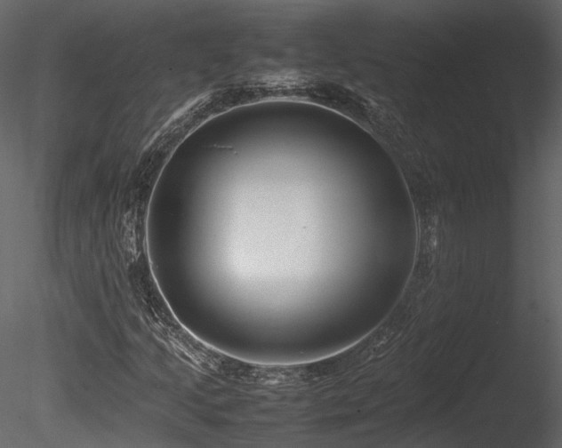 X0000085831205200703161315