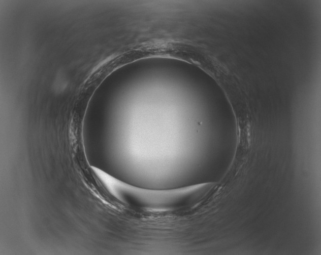 X0000085831206200703161315