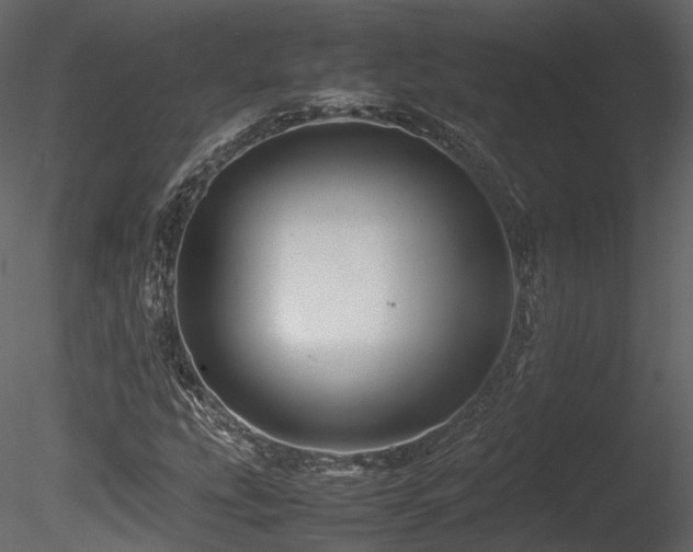X0000085831207200703161315