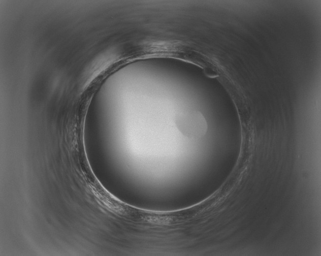X0000085831211200703161315