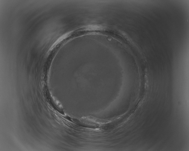 X0000085831213200703161315