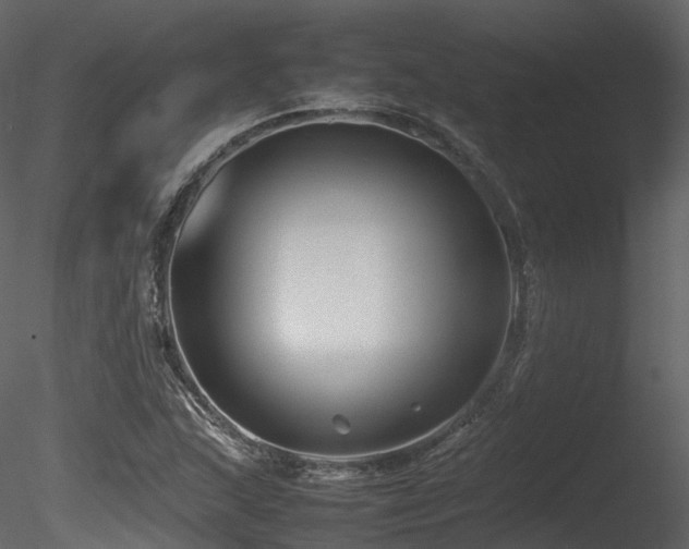 X0000085831215200703161315