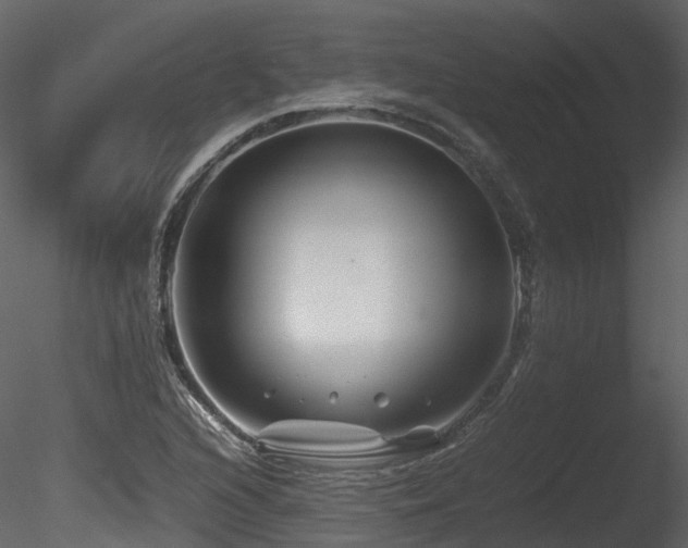 X0000085831216200703161315