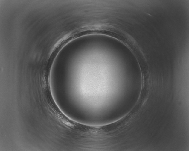 X0000085831218200703161315