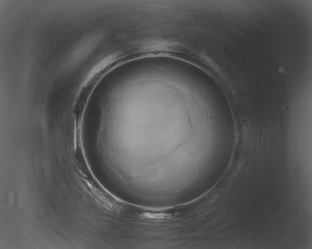 X0000085831219200703161315