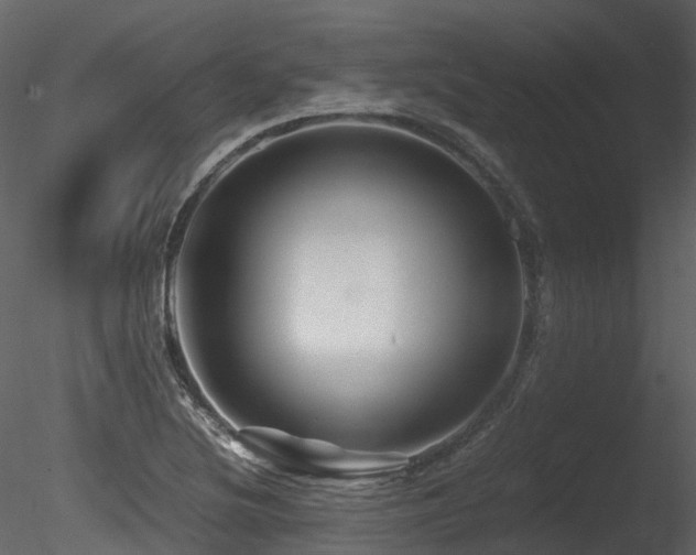 X0000085831220200703161315