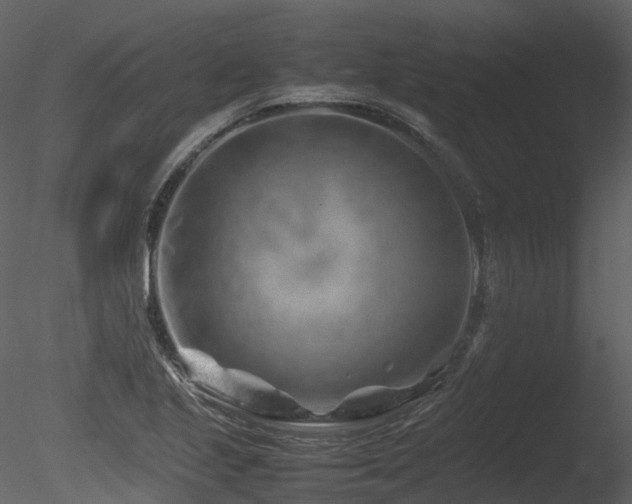 X0000085831221200703161315
