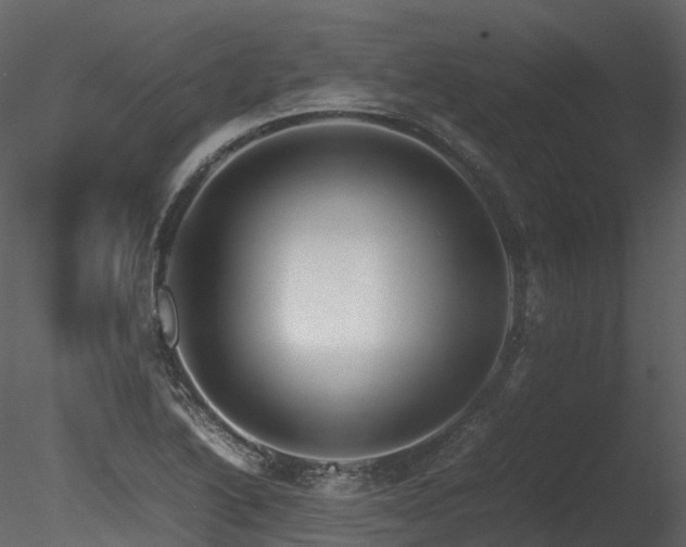 X0000085831222200703161315