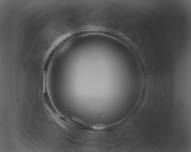 X0000085831223200703161315